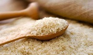 از سرگیری صادرات برنج هند به ایران/ حساب مشترک تهران-دهلی برای چند ماه آینده اعتبار کافی دارد
